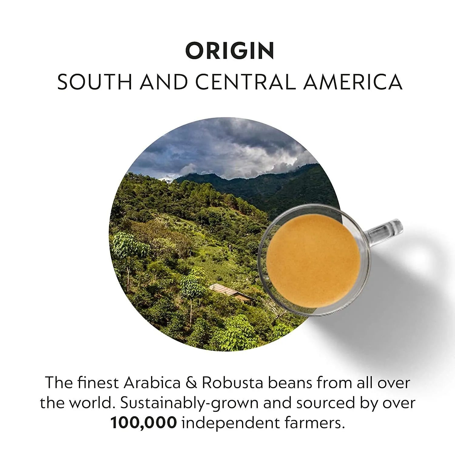 Nespresso Roma Coffee Capsule