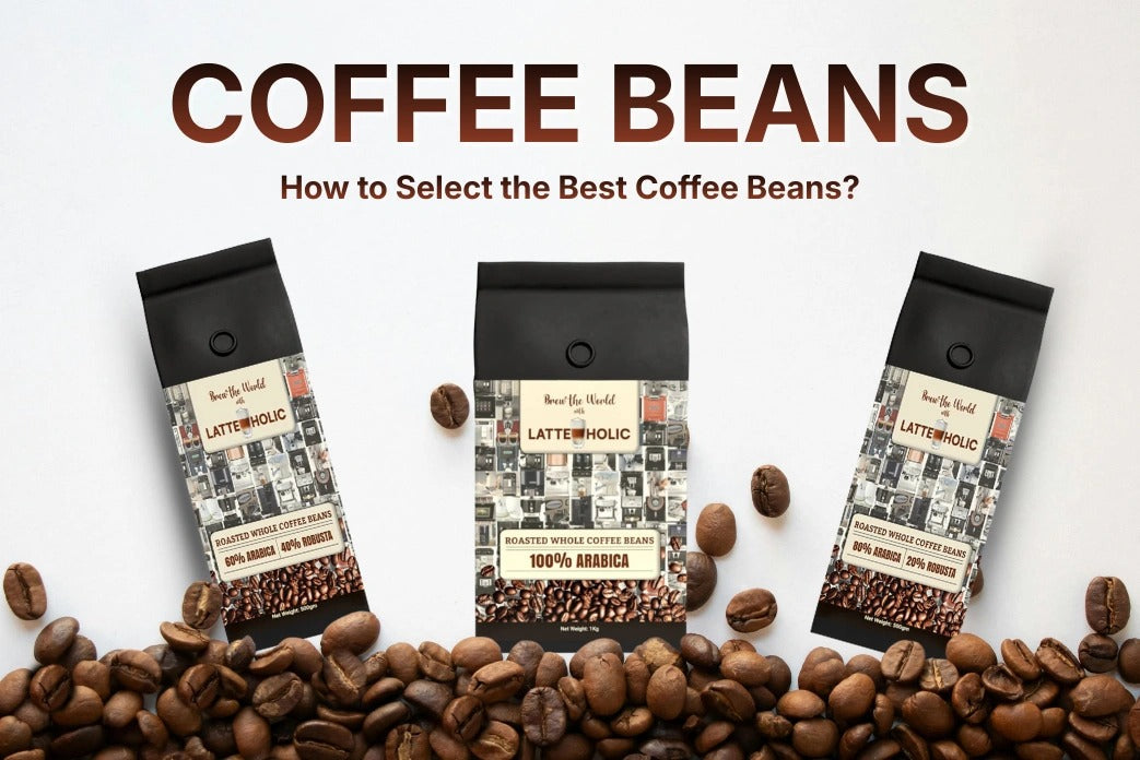 Best coffee beans selection for cafes