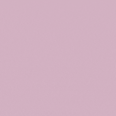 Milk Frother 