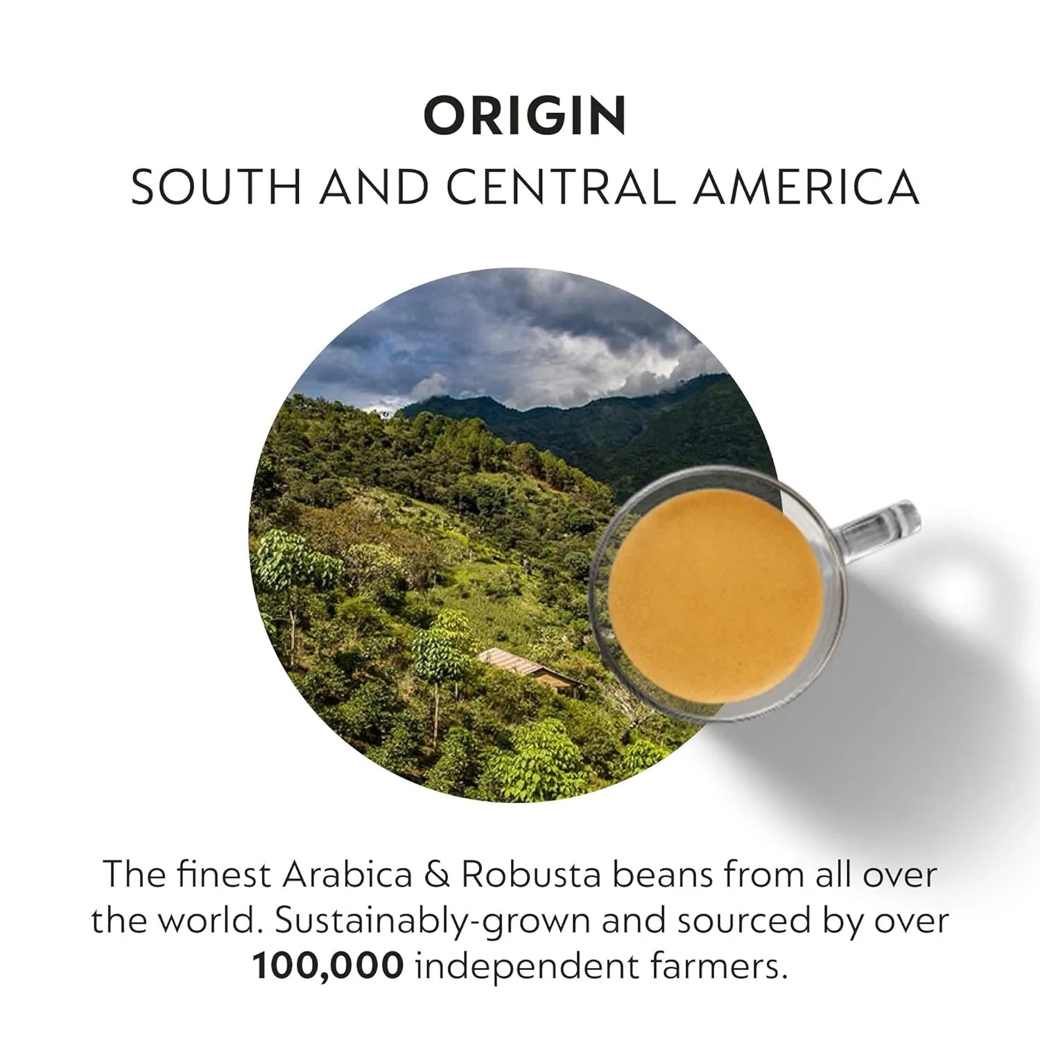 Arabica_and_Robusta_coffee_beans