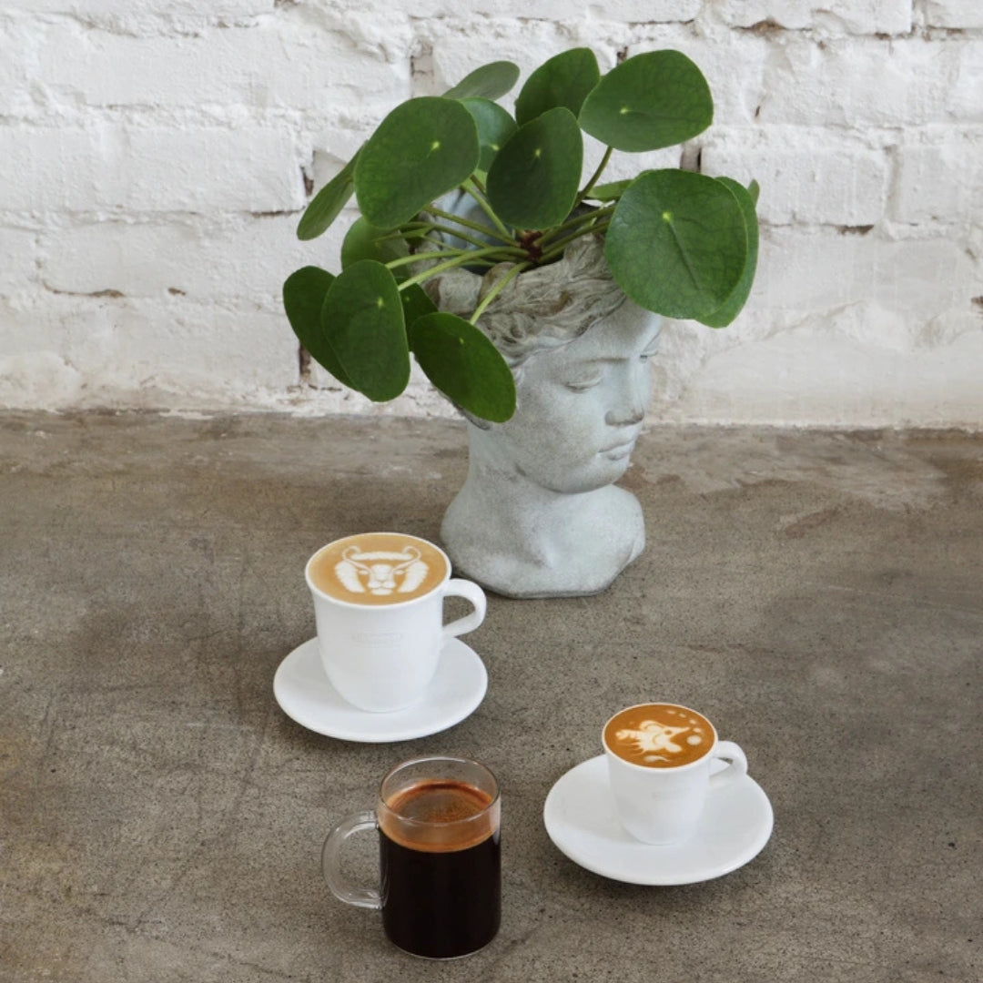 Latteholic delonghi accessories