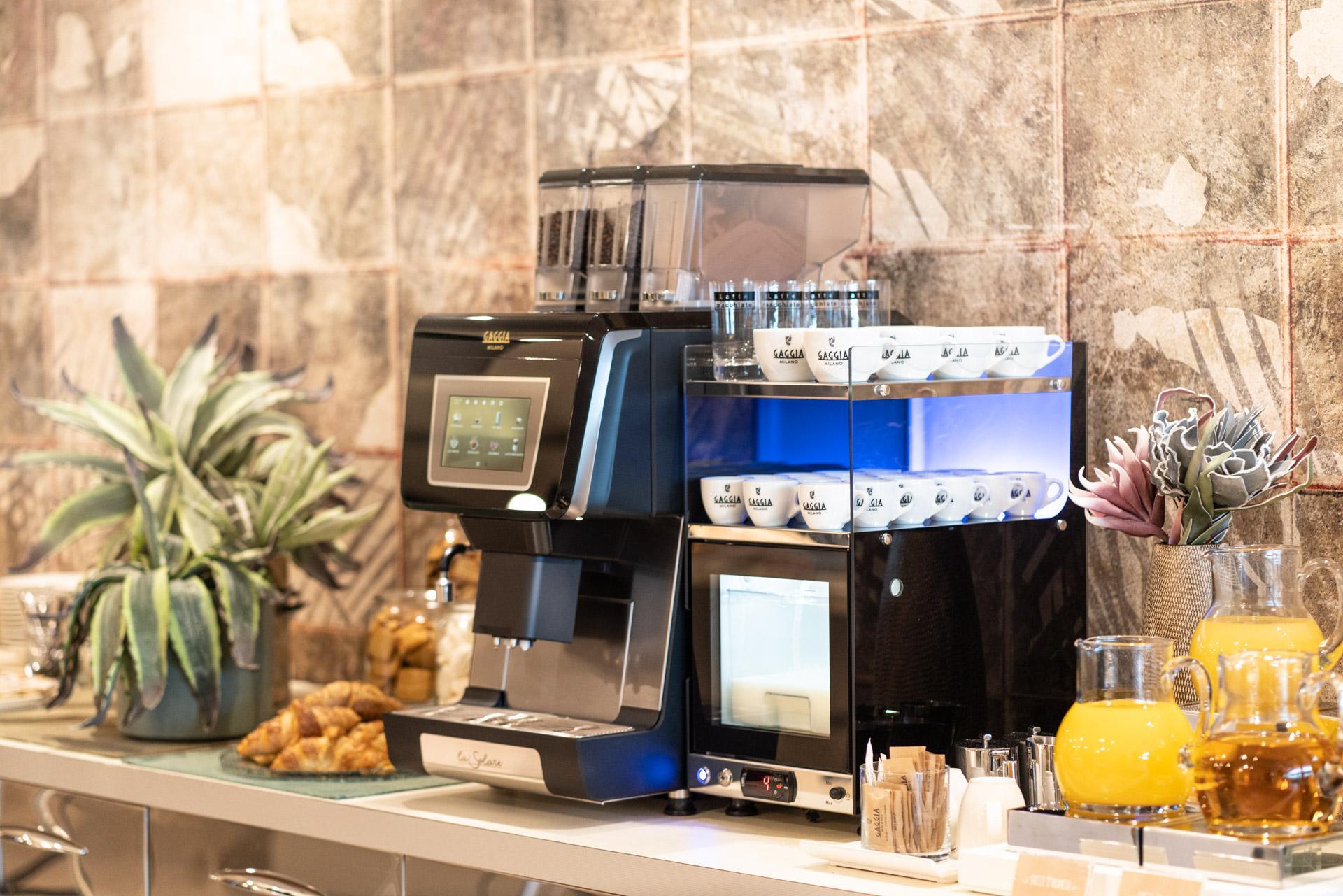 Latteholic-Gaggia Professional La Solare