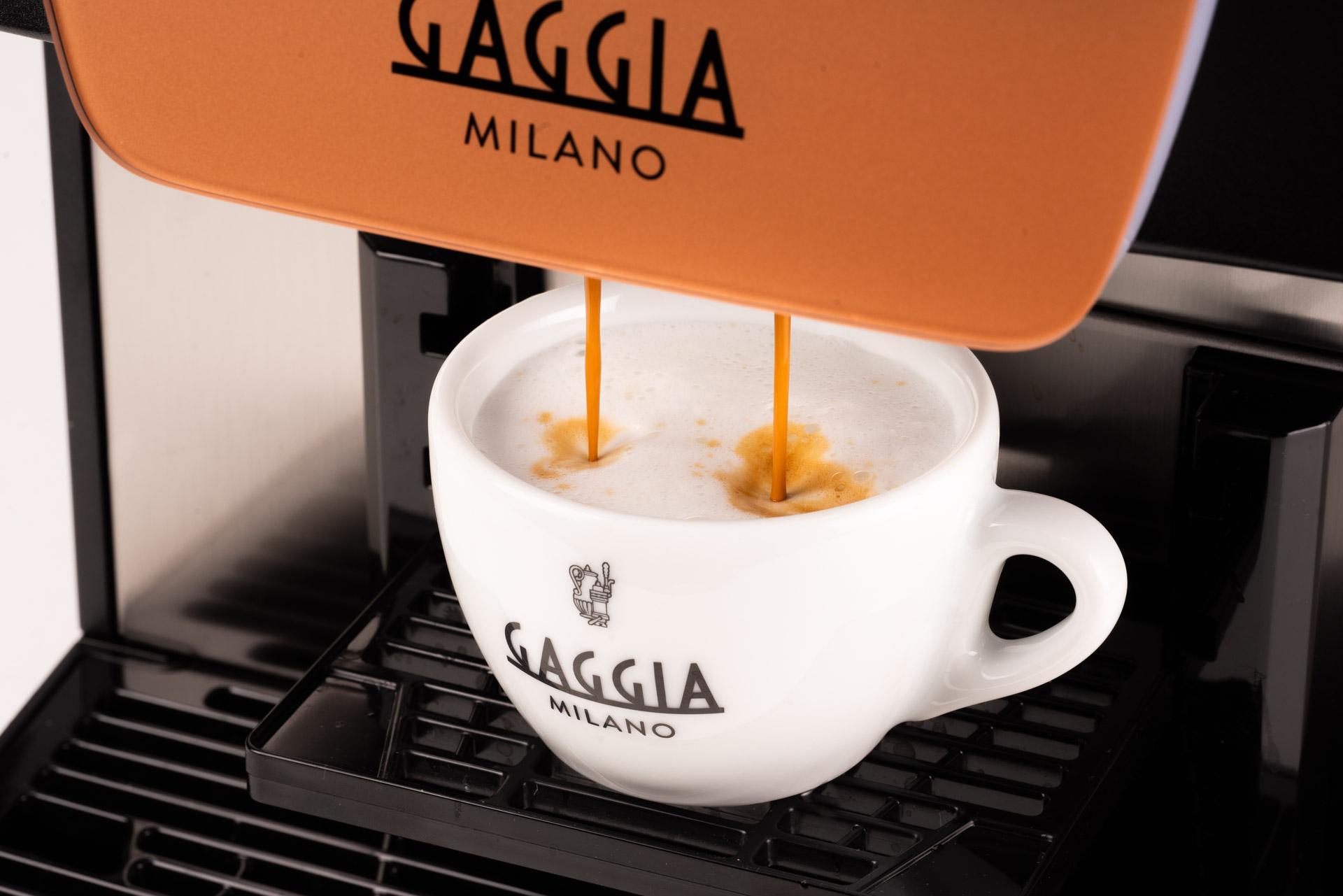 Latteholic-Gaggia Professional La Brillante