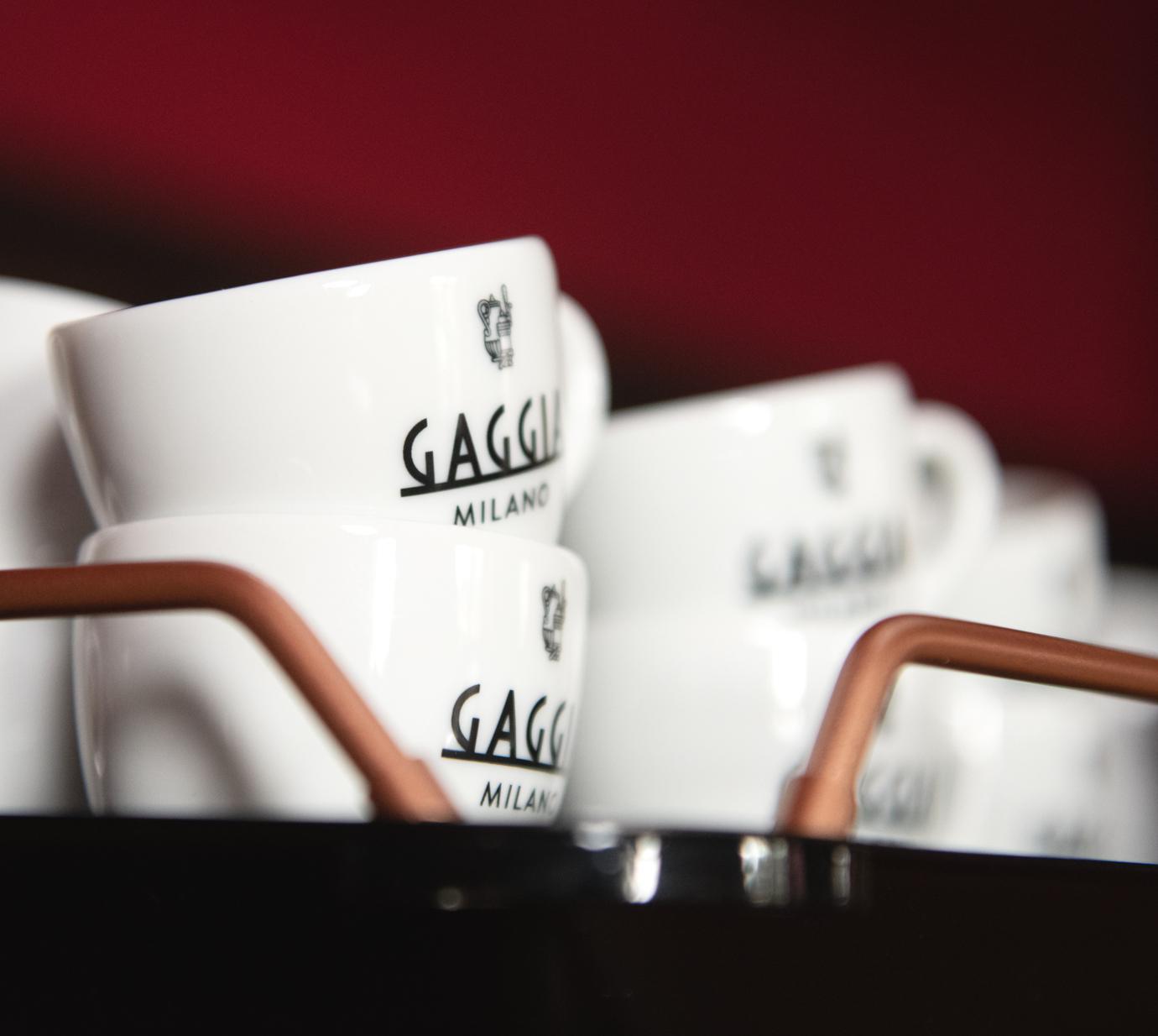 Latteholic-Gaggia Professional La Brillante