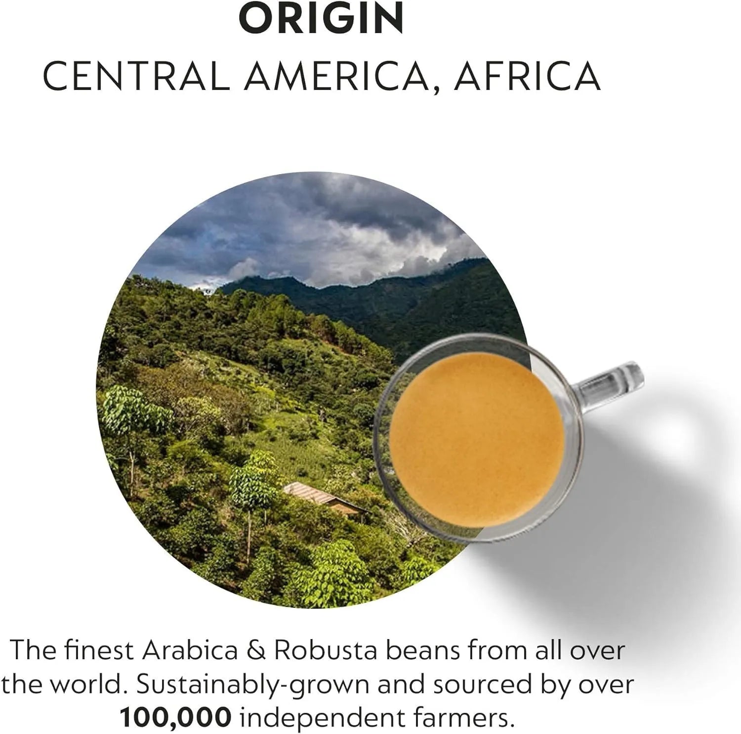 Premium_Arabica_and_Robusta_coffee_beans