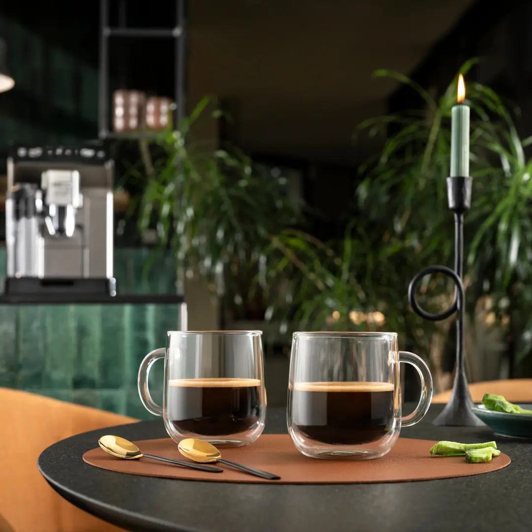 Latteholic delonghi accessories